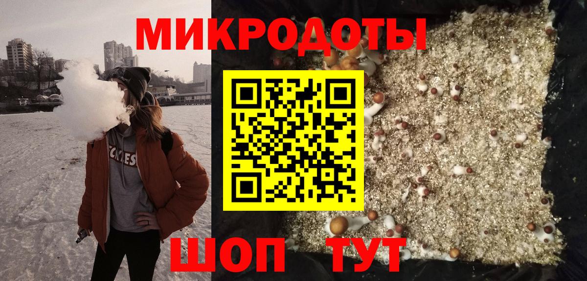 Галлюциногенные грибы Cubensis Минусинск